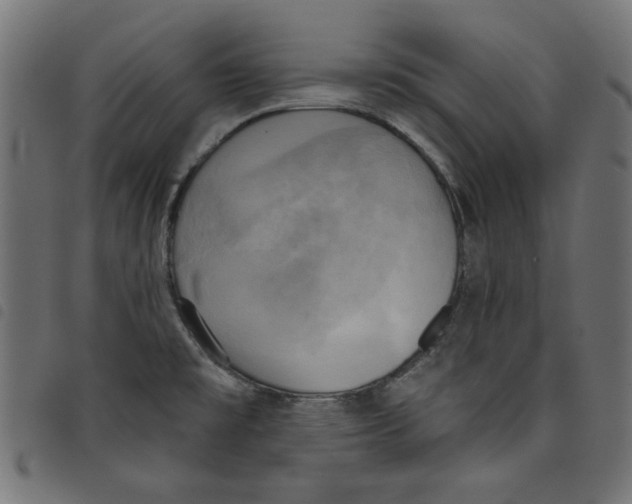 X0000098111477200804251416