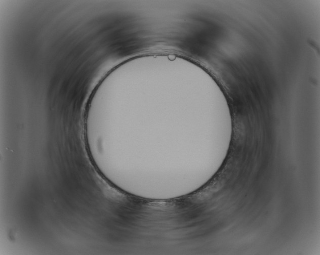 X0000098111478200804251416