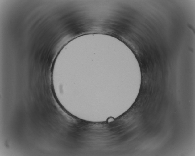 X0000098111479200804251416