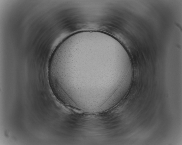 X0000098111480200804251416