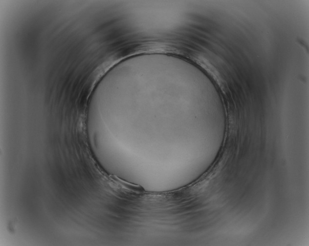 X0000098111481200804251416