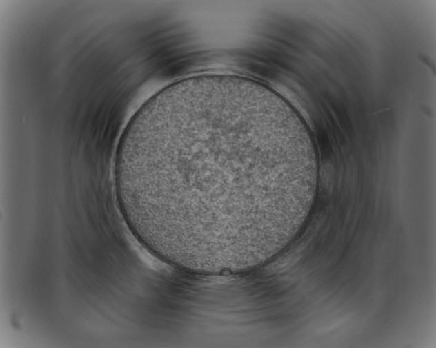 X0000098111482200804251416