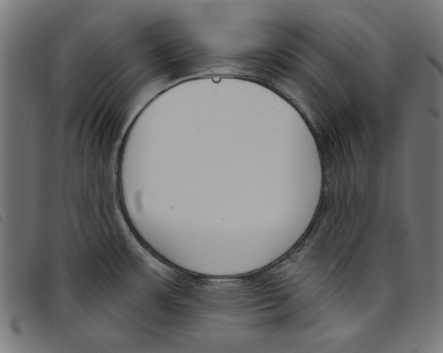 X0000098111483200804251416