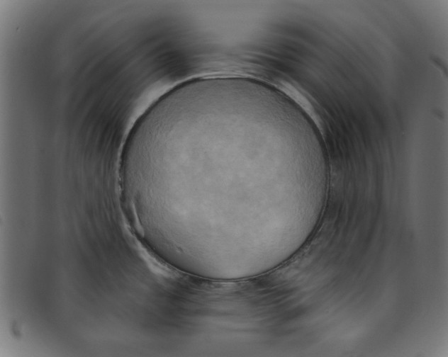 X0000098111485200804251416