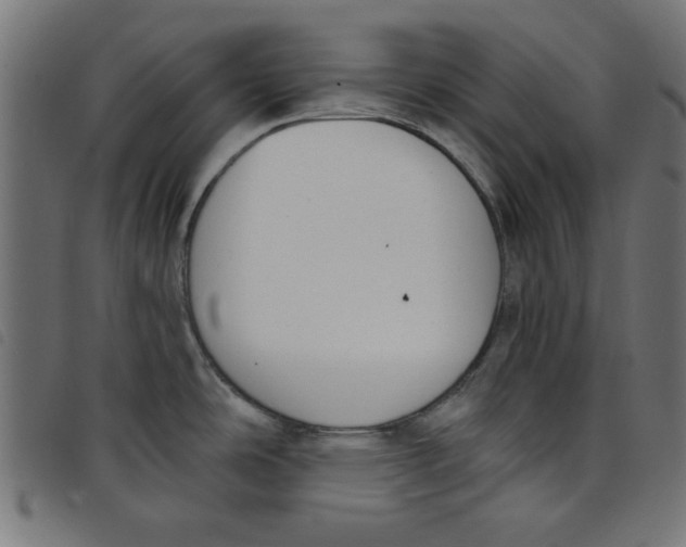 X0000098111486200804251416