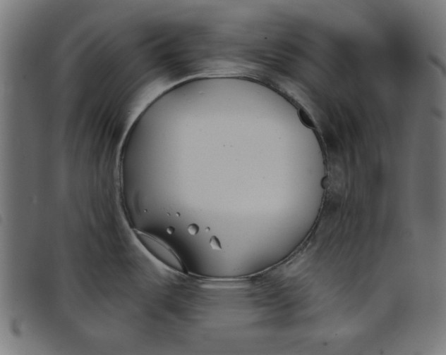 X0000098111487200804251416