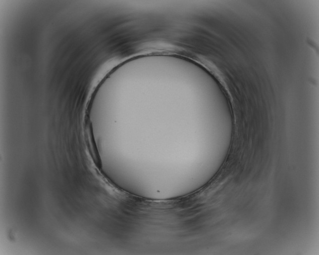 X0000098111488200804251416