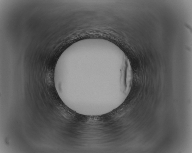 X0000098111490200804251415