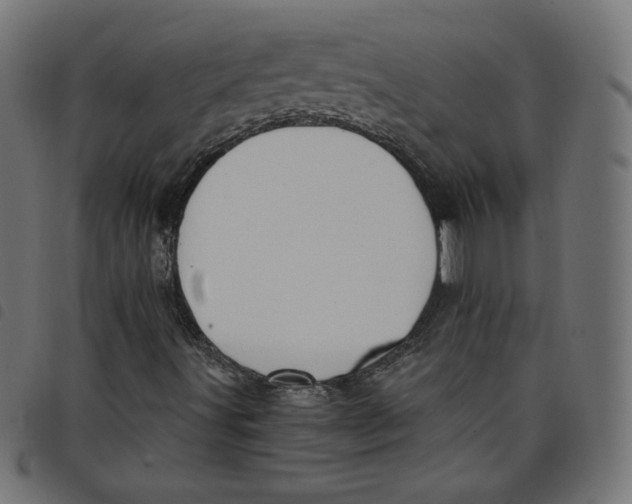 X0000098111491200804251415