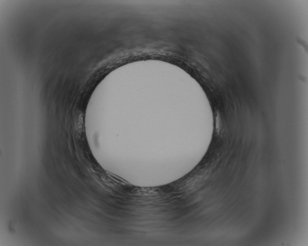 X0000098111492200804251415