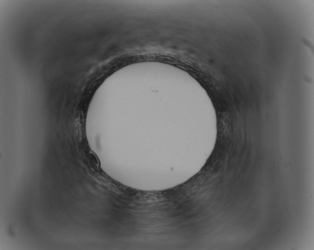 X0000098111493200804251415