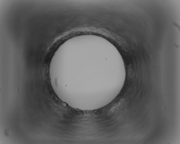 X0000098111494200804251415