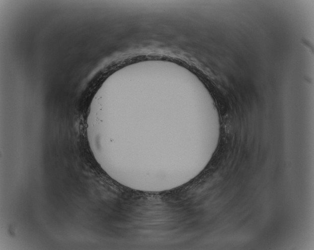 X0000098111495200804251415