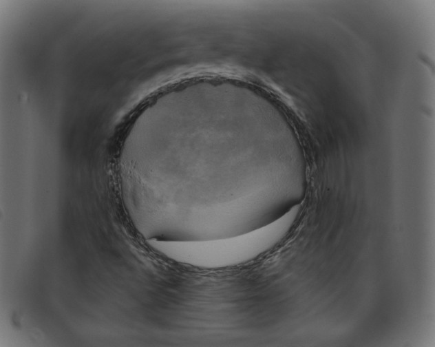 X0000098111496200804251415