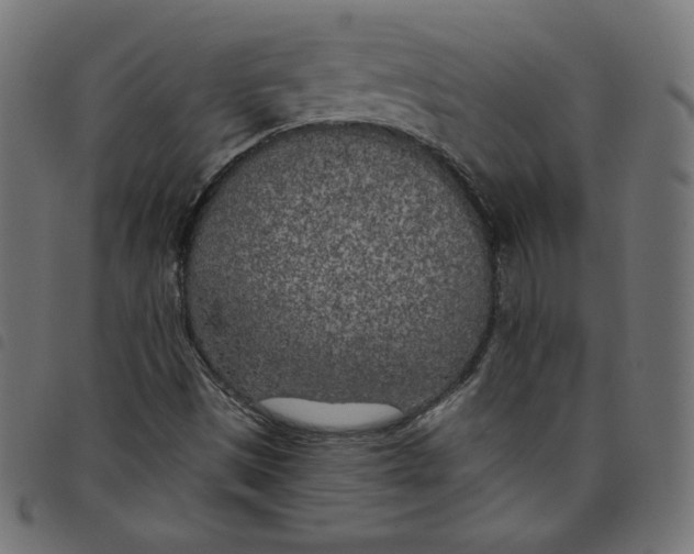 X0000098111497200804251415