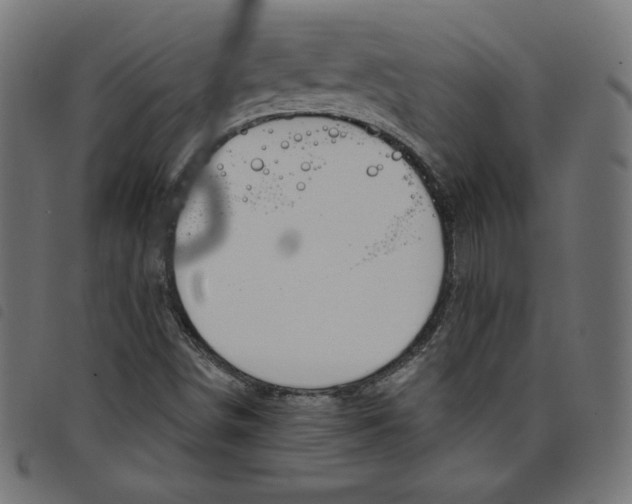 X0000098111498200804251415