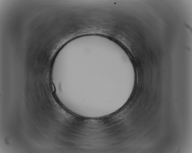 X0000098111500200804251416