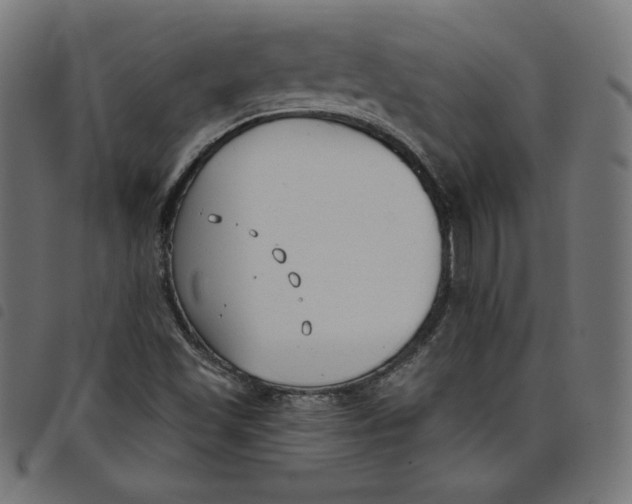 X0000098111501200804251416