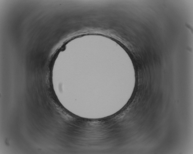 X0000098111502200804251416