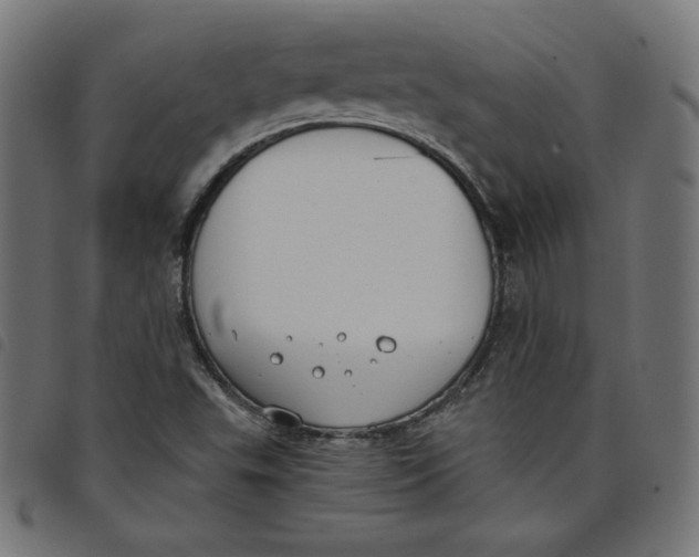 X0000098111503200804251416