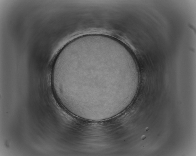 X0000098111504200804251416