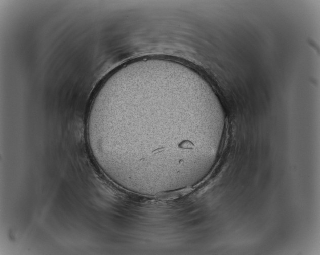 X0000098111505200804251416