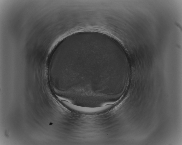 X0000098111506200804251416