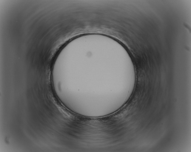 X0000098111507200804251416