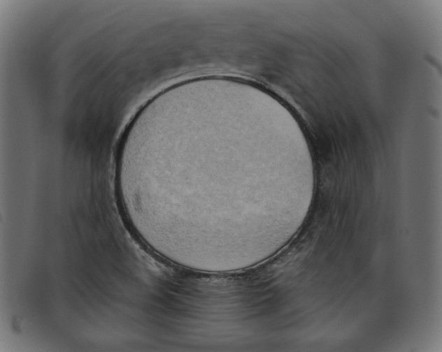 X0000098111508200804251416