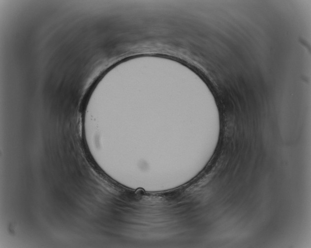 X0000098111509200804251416