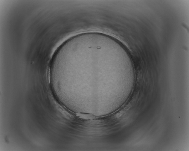 X0000098111510200804251416