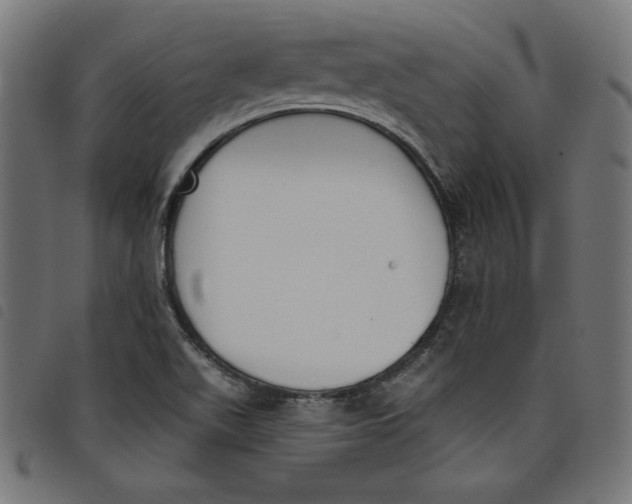 X0000098111511200804251416