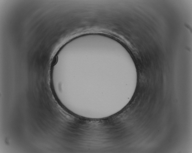 X0000098111512200804251416