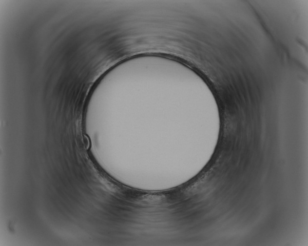 X0000098111513200804251416