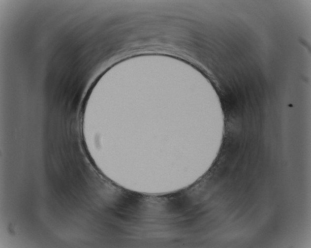 X0000098111514200804251416