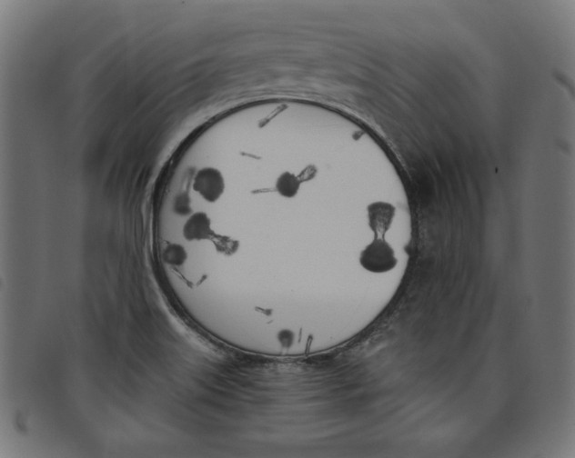 X0000098111515200804251416