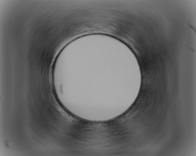 X0000098111516200804251416