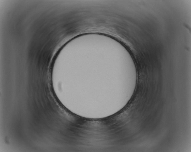 X0000098111517200804251416