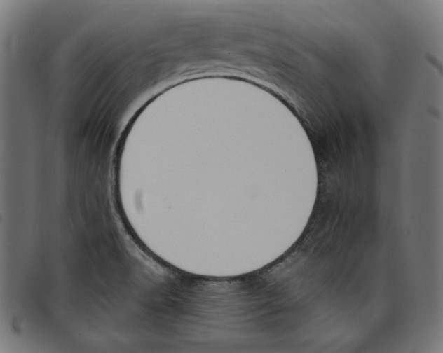 X0000098111518200804251416