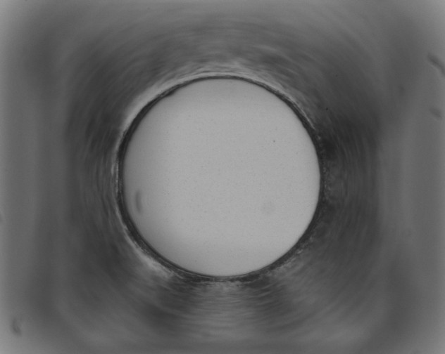 X0000098111519200804251416