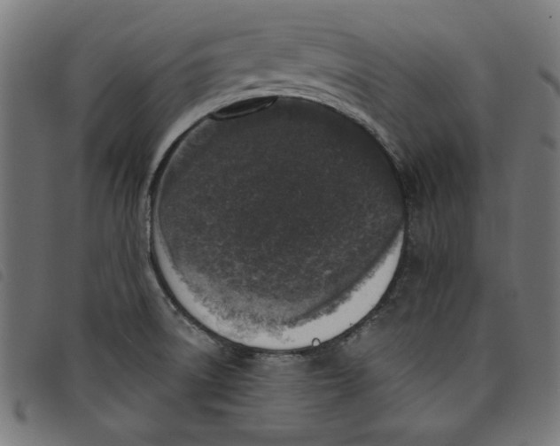 X0000098111522200804251416