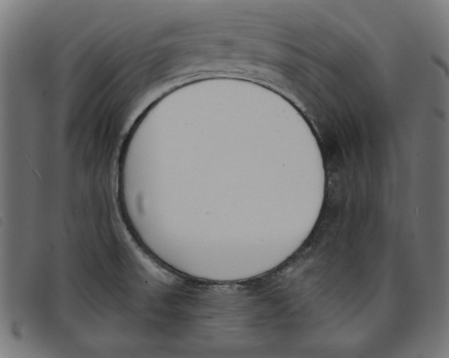 X0000098111523200804251416