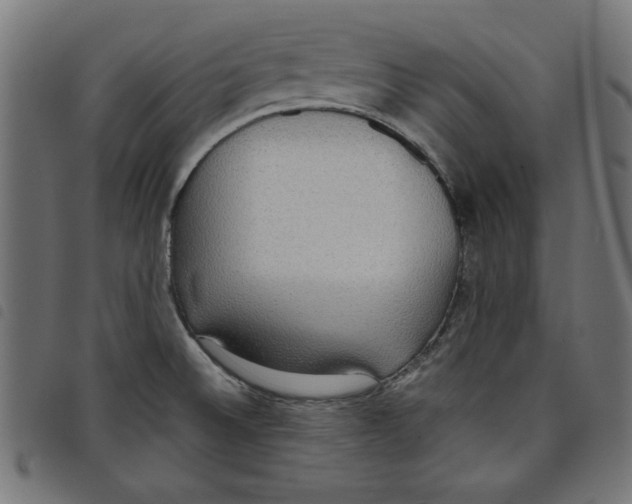 X0000098111524200804251416