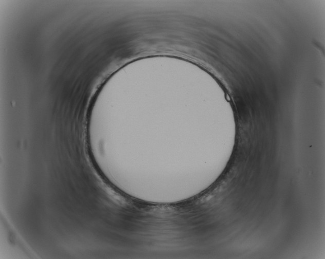 X0000098111525200804251416