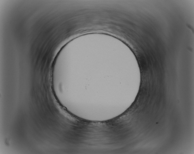 X0000098111526200804251416