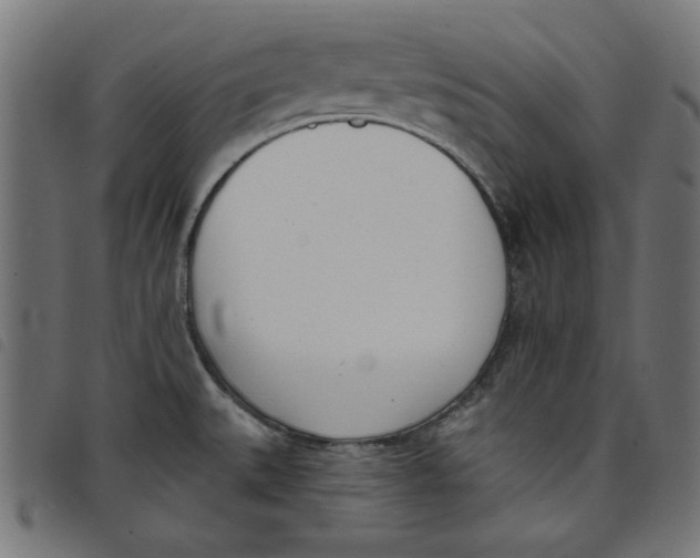 X0000098111527200804251416