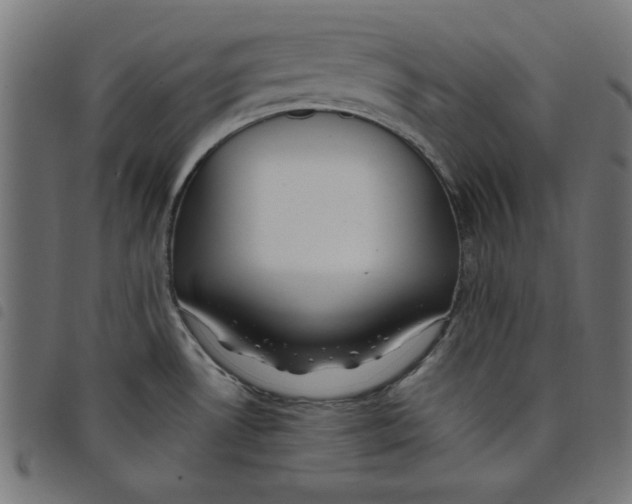 X0000098111530200804251416