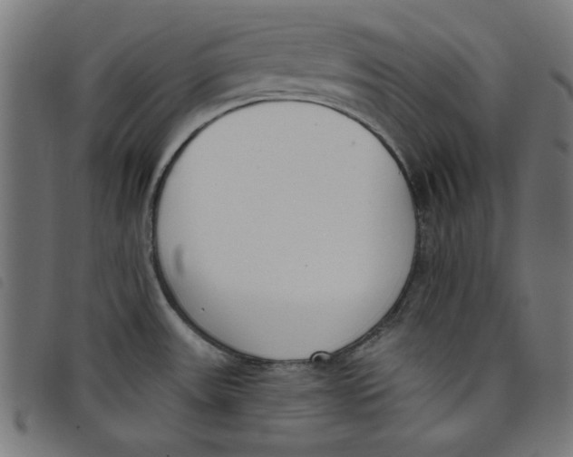 X0000098111531200804251416