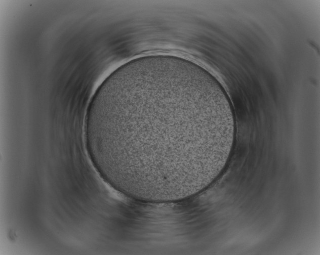 X0000098111533200804251416