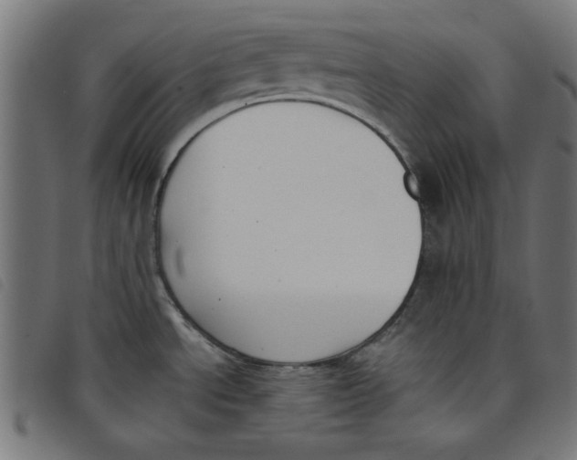 X0000098111534200804251416